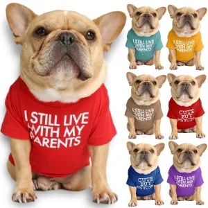 Summer/Spring Dog T-shirts